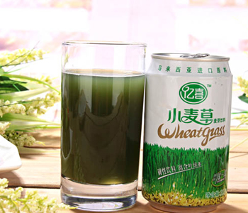 小麥草怎么榨汁 小麥草榨汁食用方法 小麥草榨汁的功效