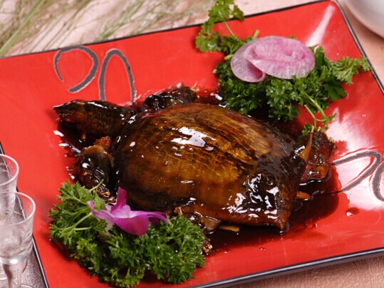 甲魚(yú)的做法
