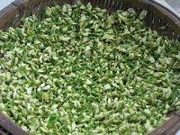 自曬干槐花的做法步驟4