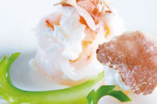 白松露菌怎么做營(yíng)養(yǎng)