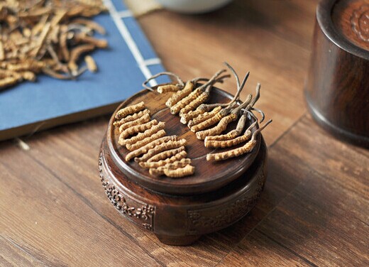 蟲草怎么吃最好