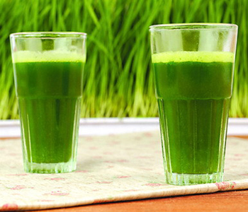 有機(jī)小麥草粉 有機(jī)小麥草粉的作用 有機(jī)小麥草粉怎么吃 小麥草粉哪個(gè)牌子好