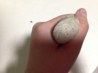 手打鲅魚魚丸的做法步驟9