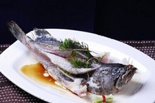 清蒸石斑魚