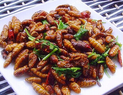 蠶蛹怎么吃