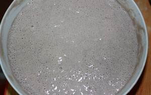 黑麥天然酵種養(yǎng)成方法及成功要點(diǎn)