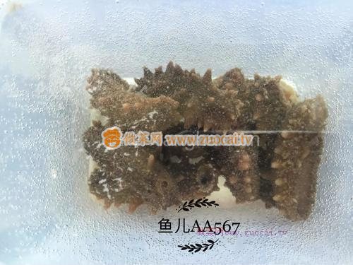 發(fā)海參的做法