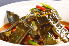 甲魚(yú)的做法大全