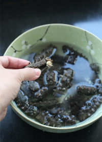 如何泡發(fā)海參的做法步驟3