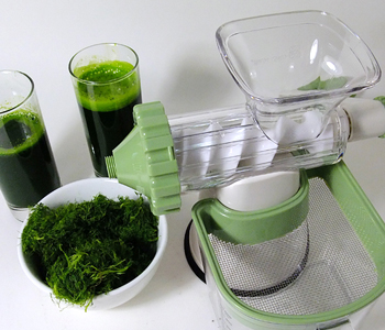 小麥草怎么榨汁 小麥草榨汁食用方法 小麥草榨汁的功效