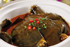 甲魚(yú)的做法大全
