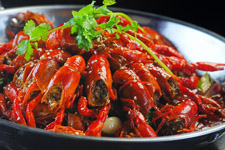 瑪?shù)铝?/ data-YCQJ=