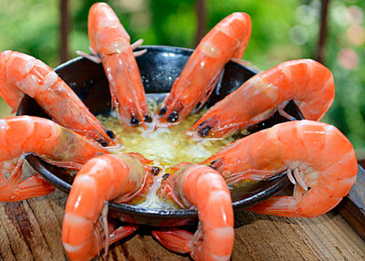 廣州白灼蝦鮮美好吃的點(diǎn)眼之筆是姜末醋碟