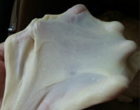 果醬圣誕樹面包的做法步驟3