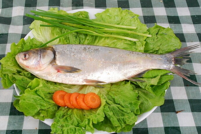 白鰱魚(yú)的做法大全