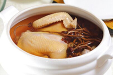 茶樹(shù)菇燉雞湯,茶樹(shù)菇燉雞湯的做法,茶樹(shù)菇雞湯