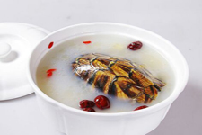 甲魚(yú)湯的做法