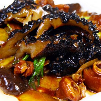 蹄筋燒海參的做法視頻