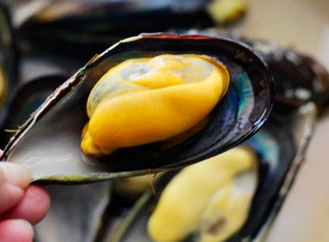 怎么清洗新鮮貽貝 正確清洗貽貝的方法