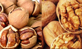 薄皮核桃和紙皮核桃如何輕松識(shí)別 薄皮核桃和紙皮核桃的識(shí)別方法