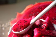 火龍果怎么吃 火龍果的做法大全