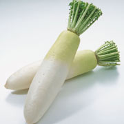 白蘿卜