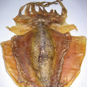 干墨魚