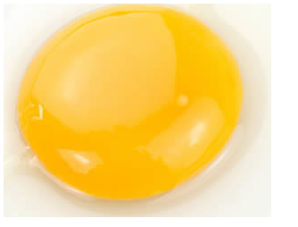 蛋黃寶寶腹瀉能吃嗎 寶寶腹瀉飲