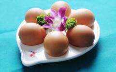 每天吃一個雞蛋好嗎 每天吃一個雞蛋有什么好處