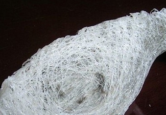 怎么去燕窩毛 輕松就能去掉燕毛