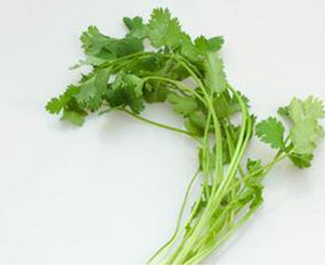 食用香菜營養(yǎng)高 應(yīng)知宜忌