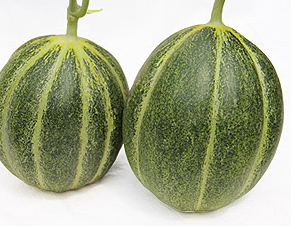 買甜瓜時挑皮厚柄細(xì)的維C多