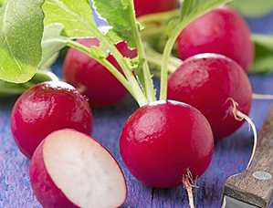 冬天的吃對(duì)蘿卜才賽人參 白蘿卜的作用與功效