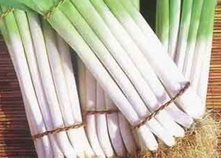 大蔥的養(yǎng)生功效驚人 常吃大蔥有