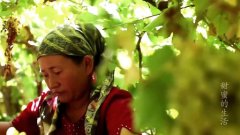 中國(guó)人的零食：第四集甜蜜的生活