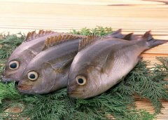 海魚怎么做不腥