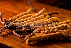 冬蟲(chóng)夏草怎么吃最好