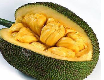 菠蘿蜜和榴蓮的區(qū)別在哪里 有圖片對(duì)比