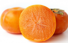 黃柿子不能和什么同吃 黃柿子和什么食物相克