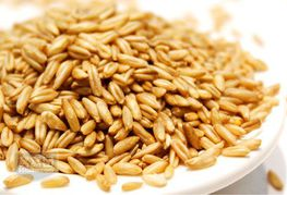 常吃五種雜糧勝過吃補(bǔ)藥 最滋養(yǎng)五臟的雜糧食譜推薦