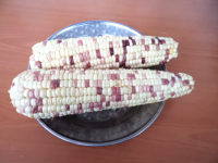 排骨玉米砂鍋煲的做法步驟1