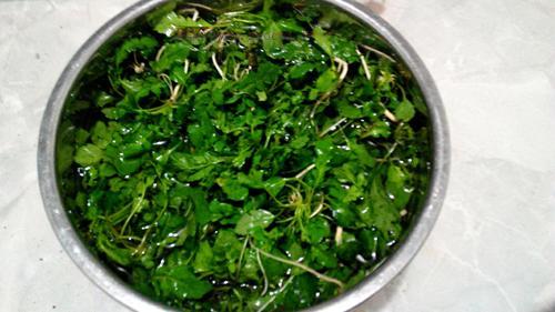 薺菜餡餃子的做法