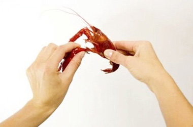 小龍蝦怎么快速剝殼 小龍蝦的剝法圖解