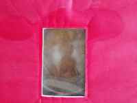 南瓜烤發(fā)糕的做法步驟10