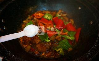 黃燜雞-----絕對秒殺餐館味道的做法步驟：15