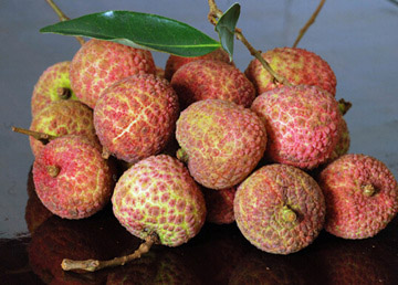 新鮮荔枝怎么保存 荔枝保存方法大全