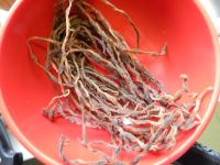 豆角干燒排骨的做法步驟2