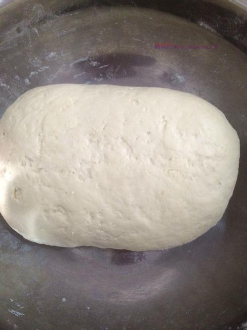 胡蘿卜豬肉包子的做法