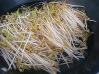 涼拌自發(fā)綠豆芽的做法步驟11
