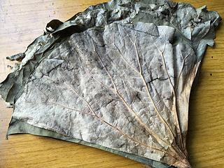 糯米雞--換種方式，照顧你的胃的做法步驟：12